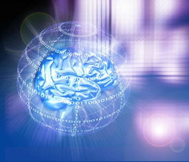 网上数据成 法宝 助东南亚企业发掘电商商机