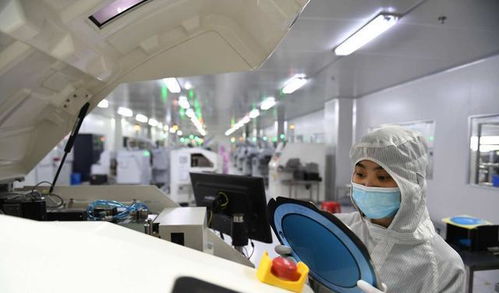 美国芯片专家基本都是华人 教育部出手,将更多留学人才召回祖国