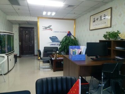 包头市墨鲸信息咨询服务