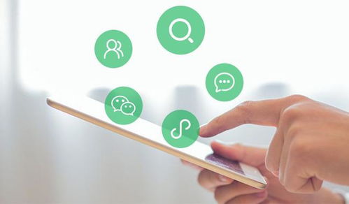 善战小程序 广州如何选择靠谱的小程序加盟代理公司