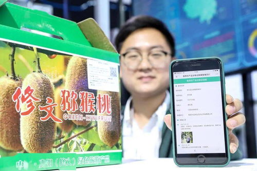 大数据能为乡村振兴做什么