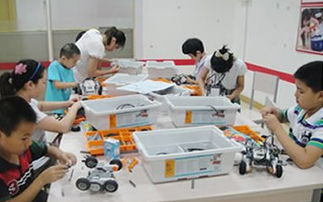 建构区墙面布置图片