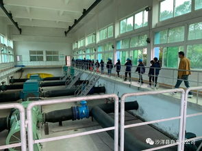 沙洋中小学生走进自来水厂 体验生产流程 树立节水意识