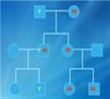 甘肃亲子鉴定中心{银川羊水鉴定费用}-兰州知真包您满价格,甘肃亲子鉴定中心{银川羊水鉴定费用}-兰州知真包您满厂家,兰州知真健康信息咨询中心_中国行业信息网