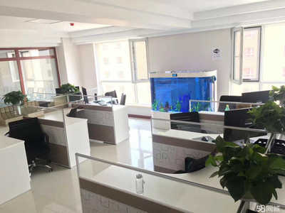 北京博融泰普惠信息咨询