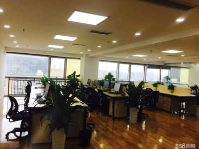 成都信城锦蓉商务信息咨询