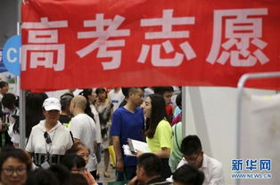 山东 高校招生咨询忙