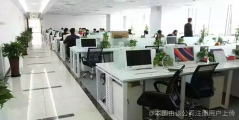 和泰信息咨询服务公司 专业信息咨询，助力企业发展