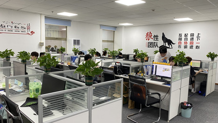 广州星照信息咨询 专业信息咨询服务的引领者