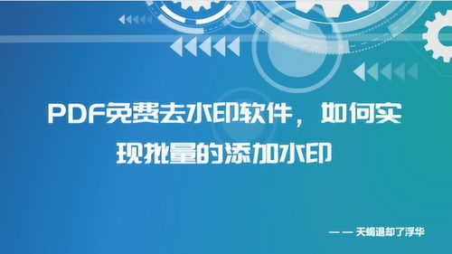 PDF水印免费去除软件、批量添加水印方法及化妆品行业PDF水印制作教程
